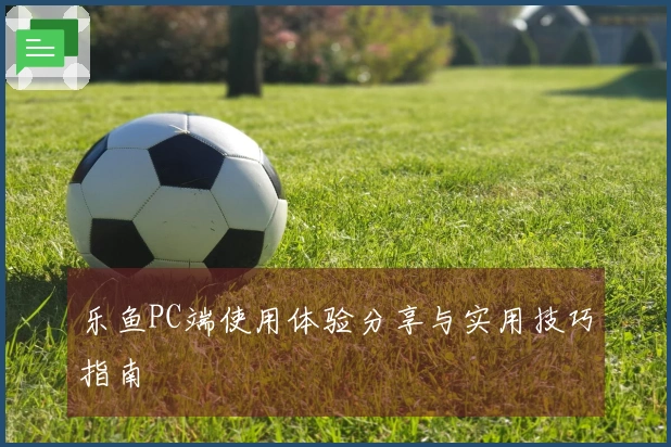 乐鱼PC端使用体验分享与实用技巧指南