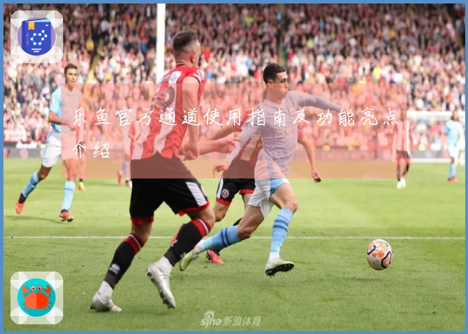 乐鱼官方通道使用指南及功能亮点介绍