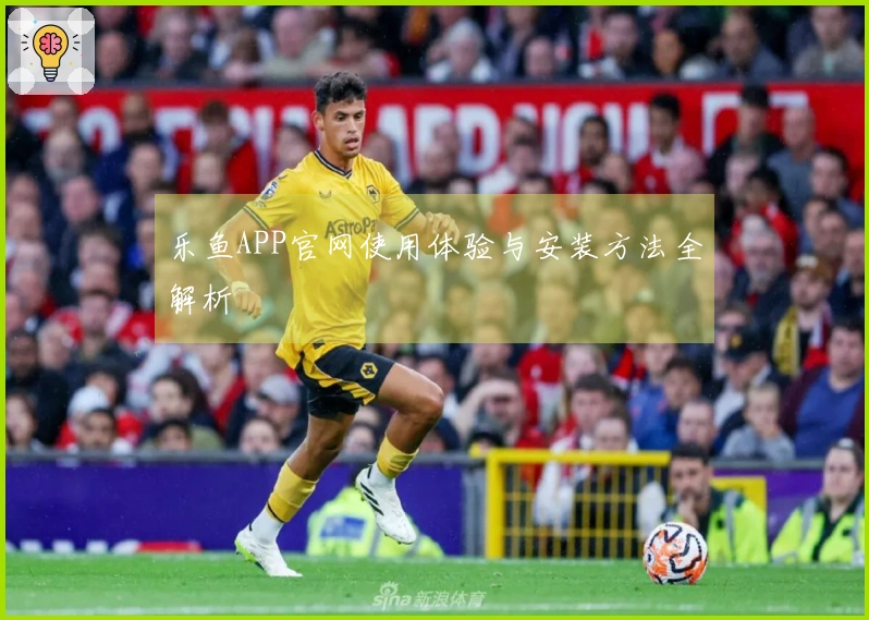 乐鱼APP官网使用体验与安装方法全解析