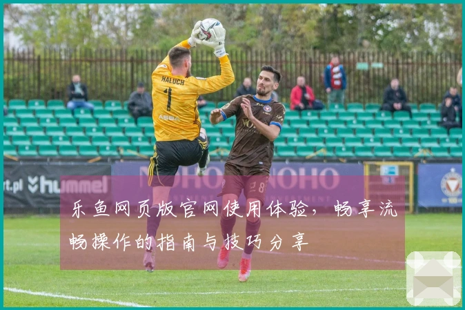 乐鱼网页版官网使用体验，畅享流畅操作的指南与技巧分享